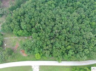 881 SE 1163 Private Rd, Deepwater, MO 64740