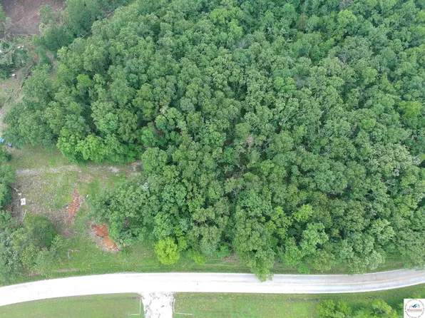 881 SE 1163 Private Rd, Deepwater, MO 64740