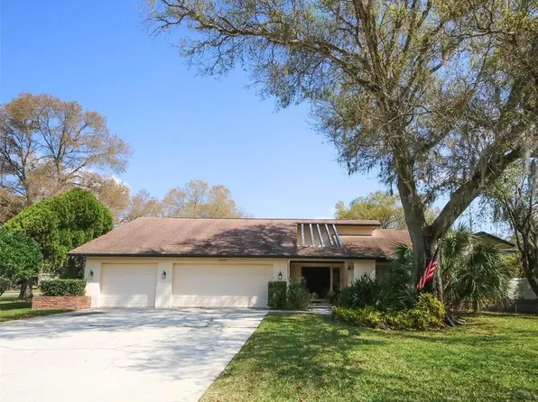 3035 Edgemoor Dr, Palm Harbor, FL 34685