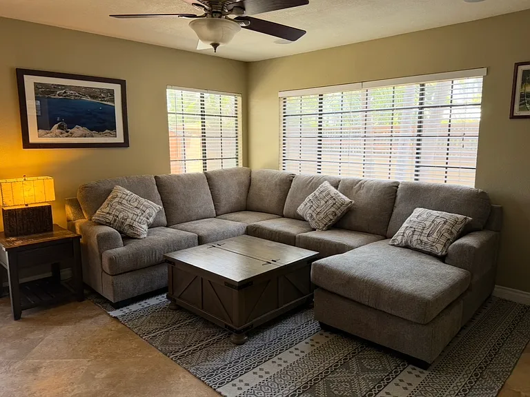 Brand new couch and rug