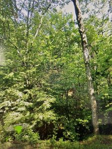 349-349 SW Main St LOT 1, Douglas, MA, 01516