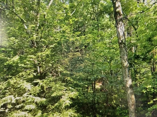 349-349 SW Main St Lot 1, Douglas, MA 01516