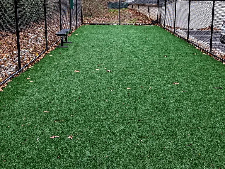 Dog Park