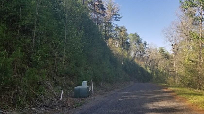 2nd image of Roaring Forks Ln