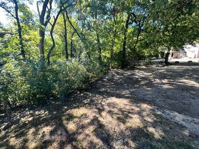 689 N Oakland Ave #1, Fayetteville, AR, 72701