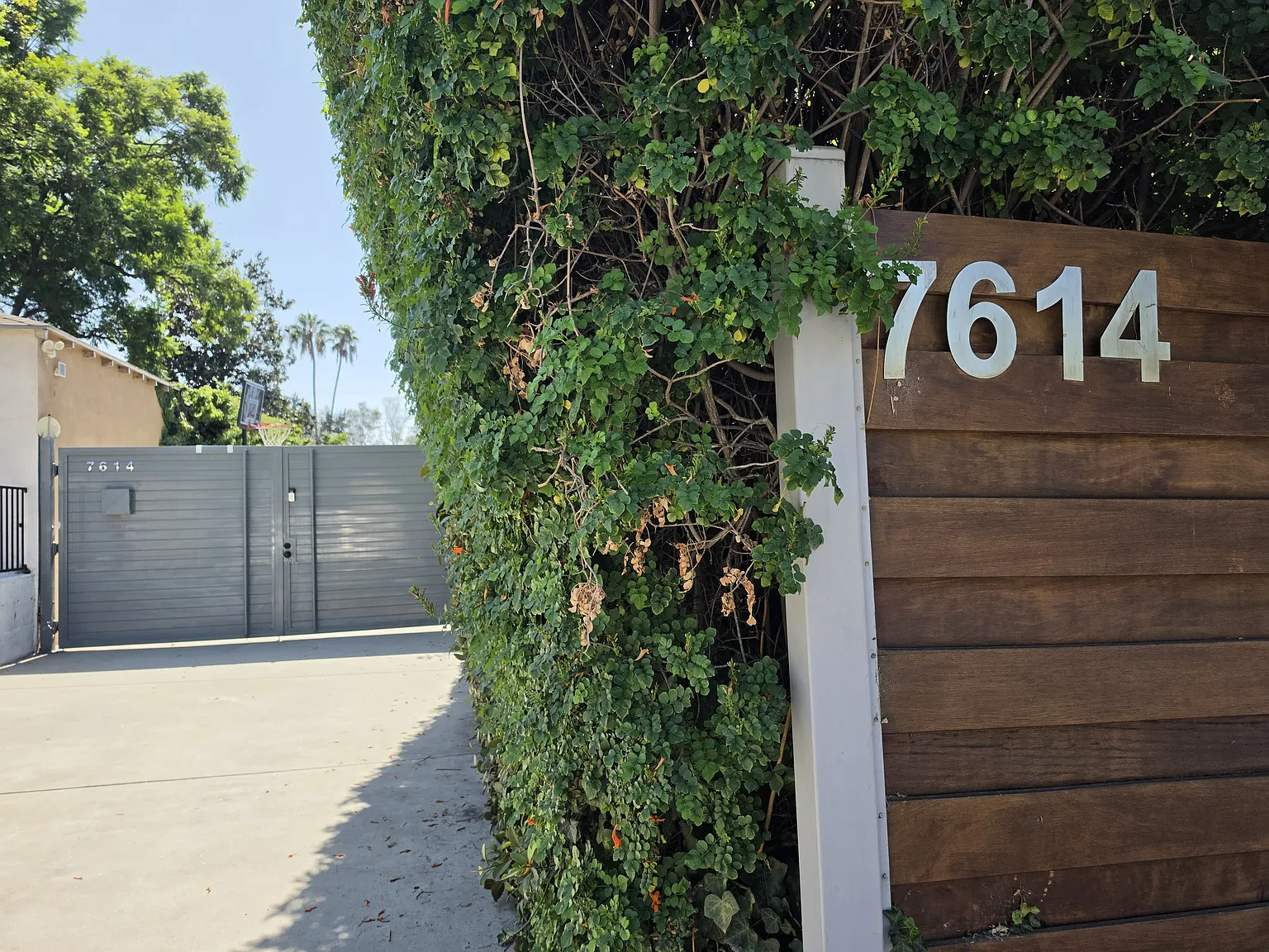 3 bed, 1250 sqft, $4,750 — Photo 2