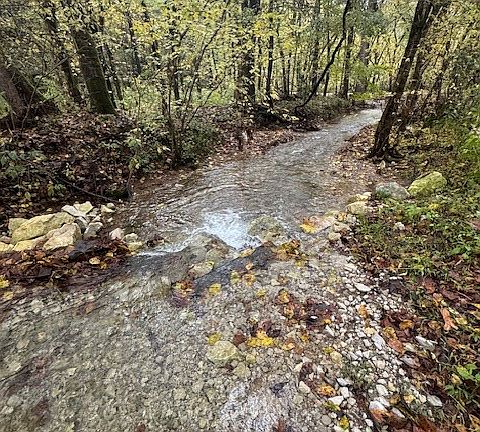 2nd image of 0 McBroom Branch Rd
