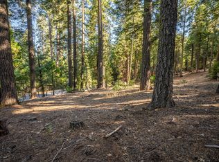 2613 Chinook Way, Arnold, CA 95223