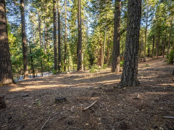 2613 Chinook Way, Arnold, CA 95223
