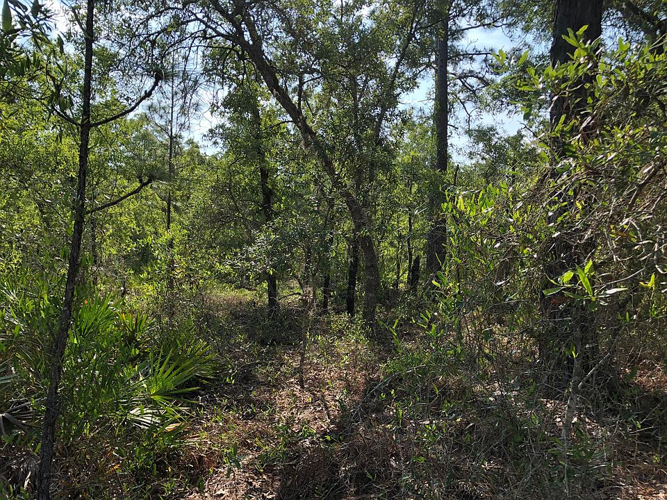2nd image of 15224 Mount Sparrow Rd