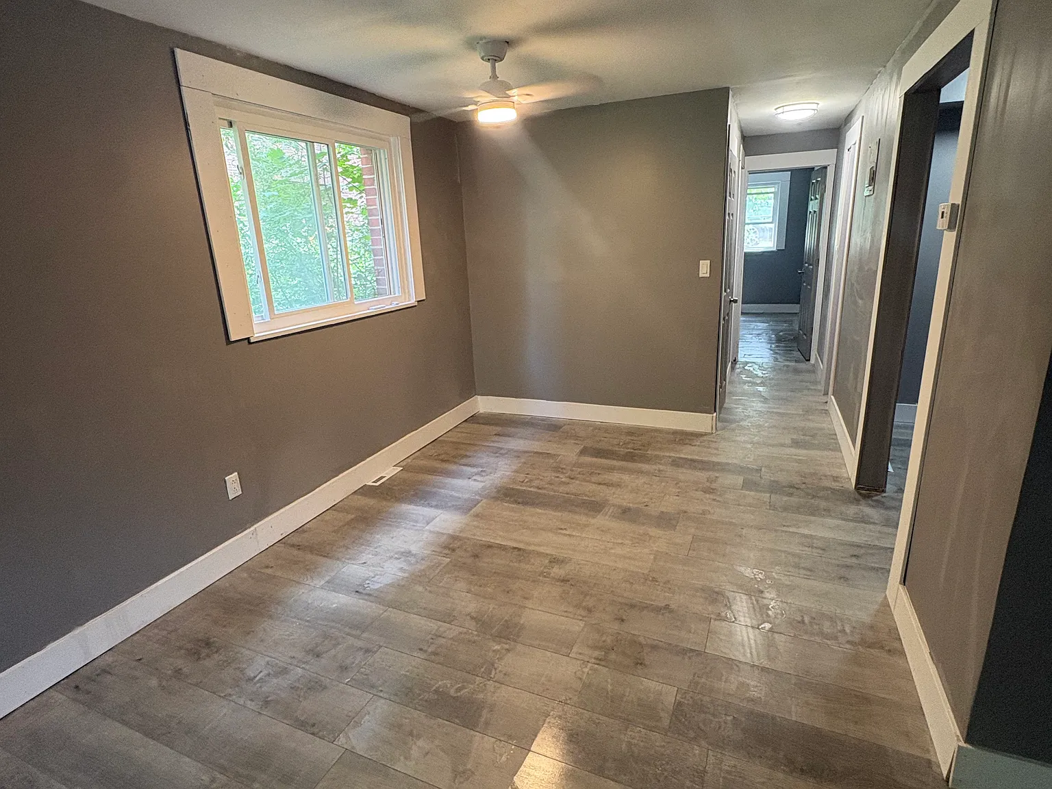 1 bed, $800 — Photo 2