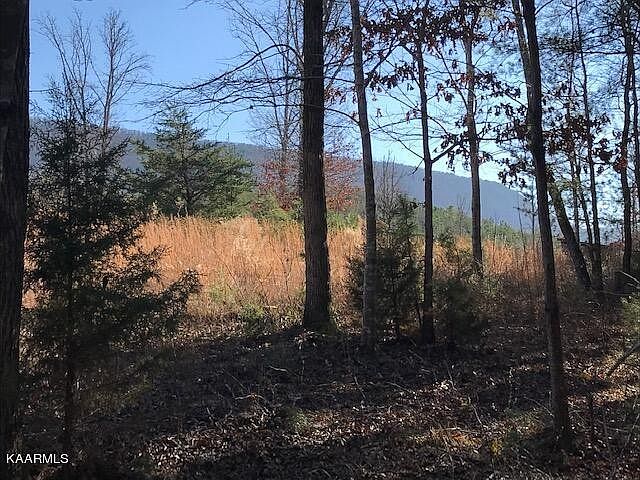 1st image of 53 County Road 875