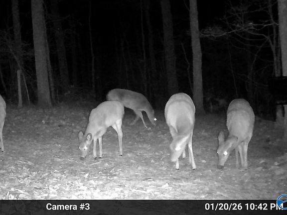 4th image of 1 Pruitt Rd