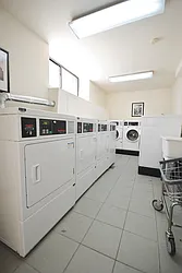 Rented by Bold New York