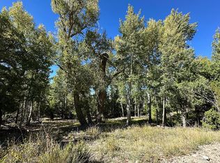 0 Big Bear Rd, Mosca, CO 81146