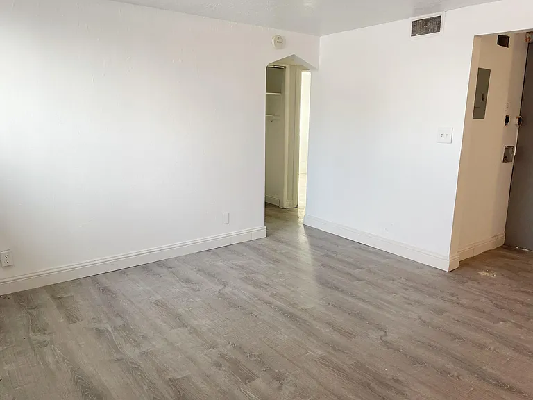 All brand-new luxury vinyl plank flooring throughout the entire unit