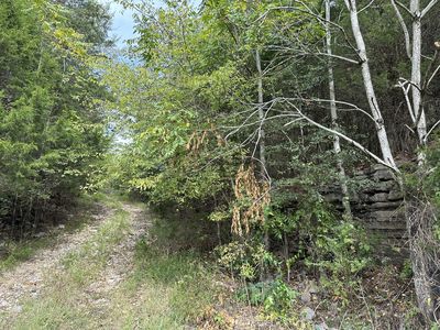 613 Dixon Springs Hwy, Riddleton, TN, 37151