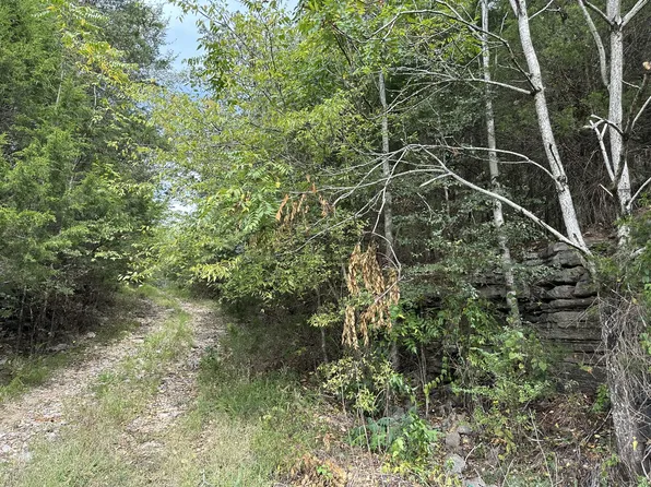 613 Dixon Springs Hwy, Riddleton, TN 37151