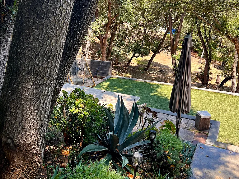 Side yard