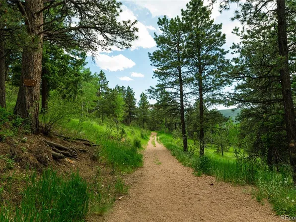 TBD Kings Crown Road, Woodland Park, CO 80863