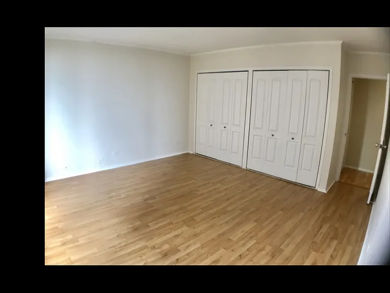 1550 N Lake Shore Dr #4D — Photo 4