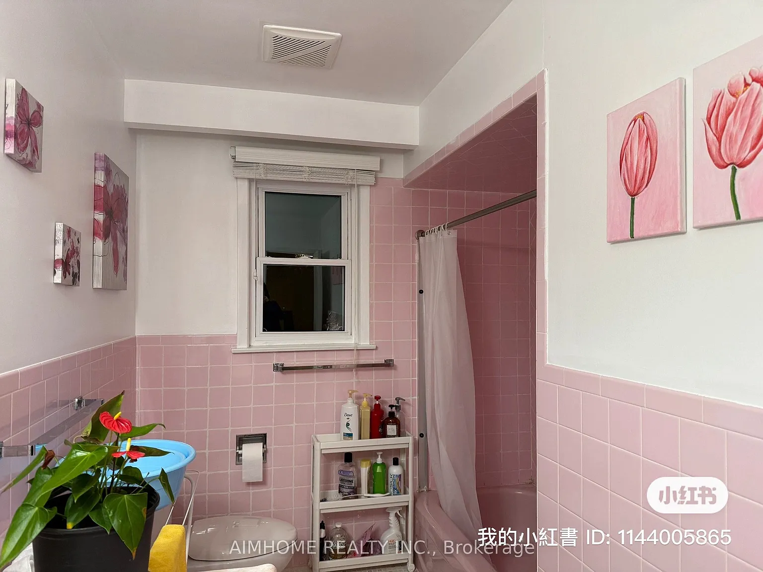 1 bed, $999 — Photo 4