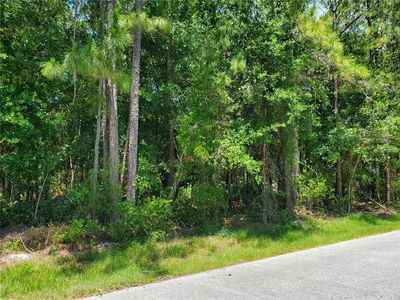Conrad St, Wesley Chapel, FL, 33544