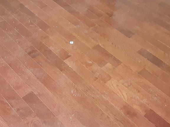 Hardwood floor throughout