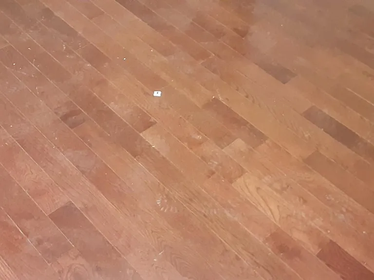 Hardwood floor throughout