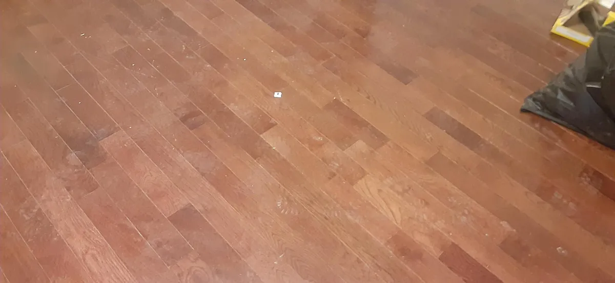 Hardwood floor throughout - 14 Hanover Pl NW