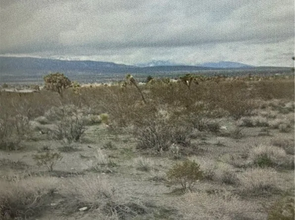 30683211 Evergreen Rd Lot 659, Pinon Hills, CA 92372