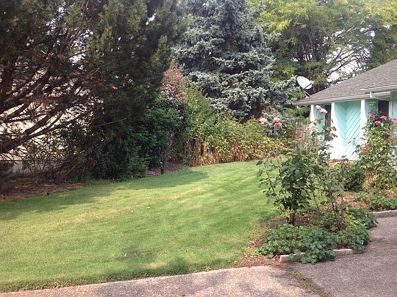 Front yard