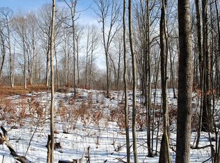 V/l No Road Trl, Custer, MI 49405