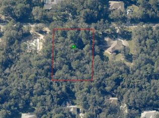893 W Pearson St, Hernando, FL 34442