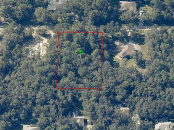 893 W Pearson St, Hernando, FL 34442