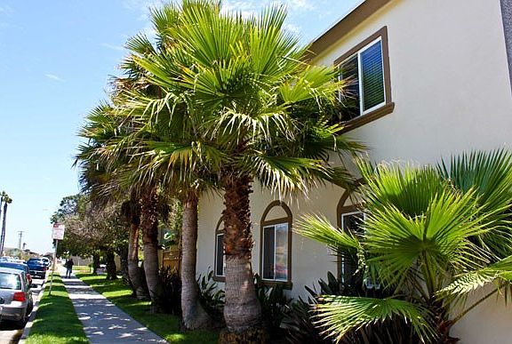 2nd image of 100 Palm Ave APT C