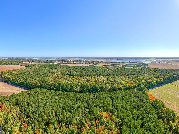 3rd image of Elliott Island Rd