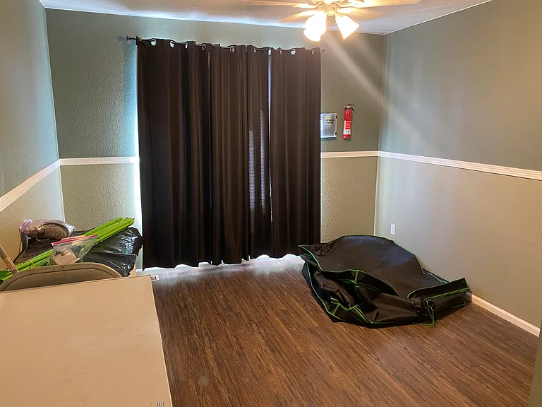 959 Wolf Creek Dr — Photo 8