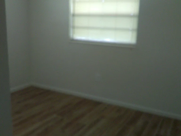 4 Whitner St — Photo 4