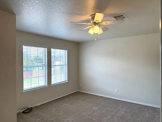 4323 Palm Point — Photo 12