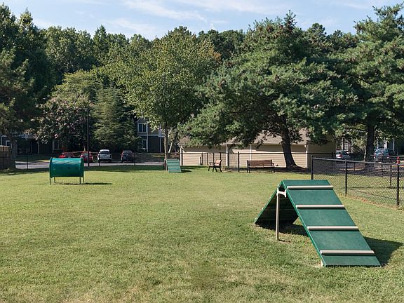 Dog Park