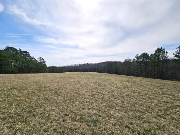 Xx 991ac Payne Rd Lot 1, Rural Hall, NC 27045