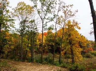 V/l Wood School Rd, Freeport, MI 49325