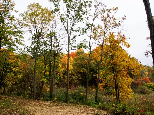V/l Wood School Rd, Freeport, MI 49325