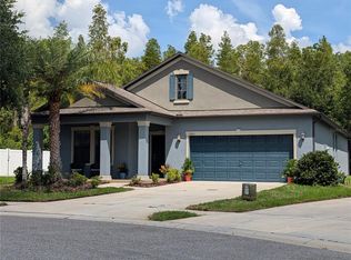 19255 ALEXANDREA LEE COURT, LAND O LAKES, FL 34638