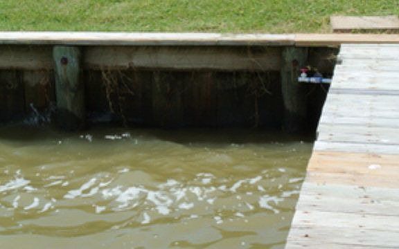 5th image of 2432 W Bayshore Dr