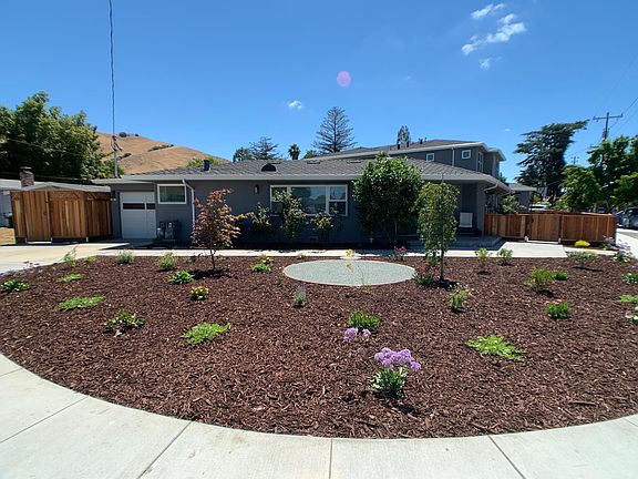 Low maintenance front yard