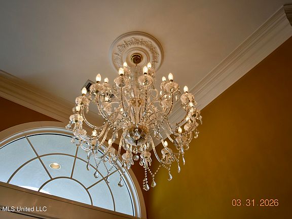 4th image of 701 Olivia St