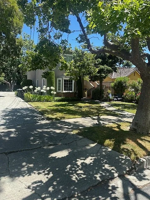 1 bed, $3,150 — Photo 1