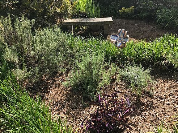 Herb garden in front yard